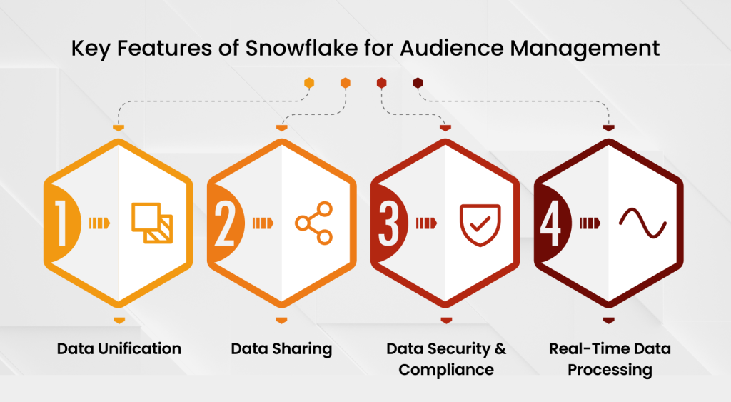 Key Features of Snowflake for Audience Management