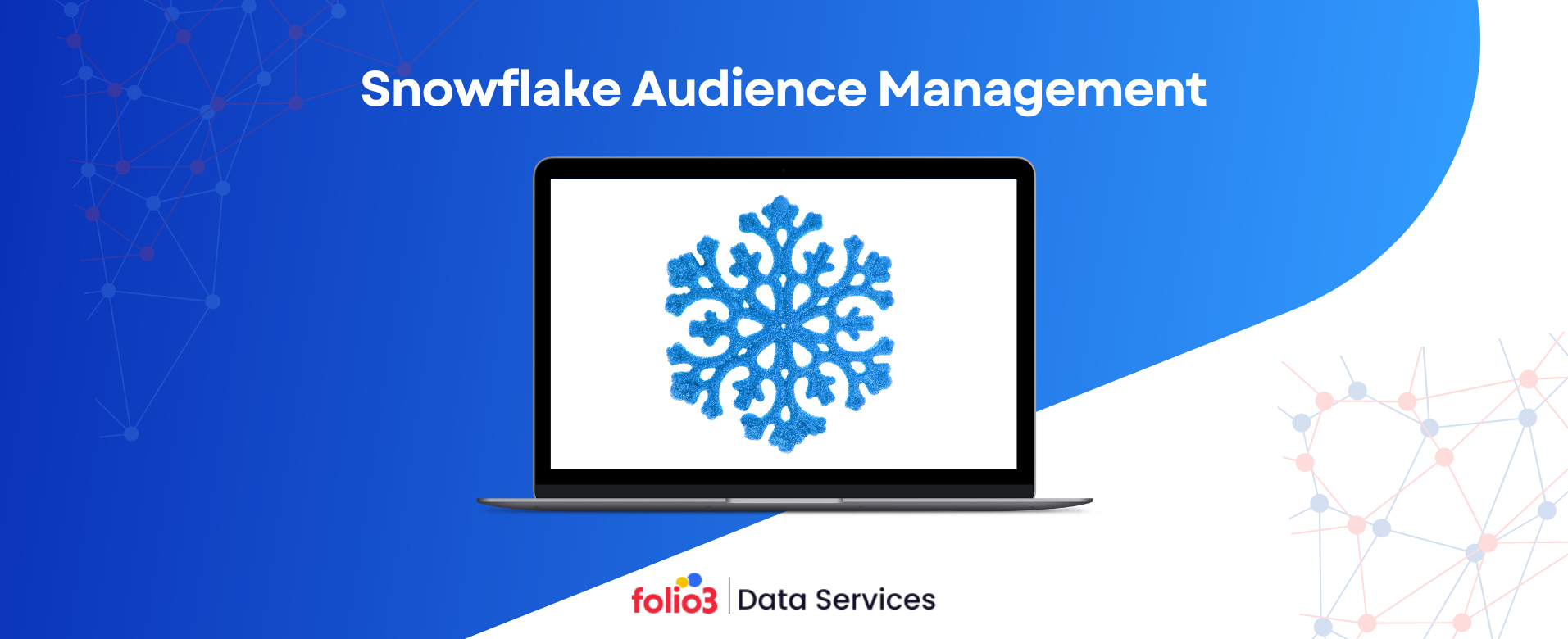 snowflake audience management